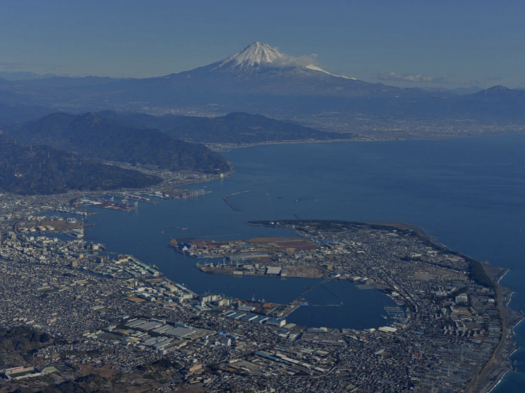 静岡県で建設業許可専門の行政書士をお探しなら
